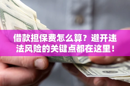 济南借款担保费怎么算？避开违法风险的关键点都在这里！