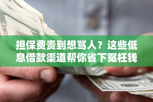 济南担保费贵到想骂人？这些低息借款渠道帮你省下冤枉钱