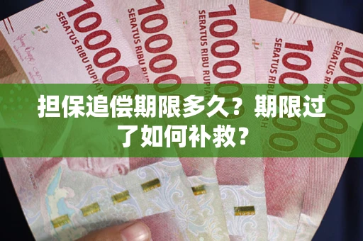 济南担保追偿期限多久？期限过了如何补救？