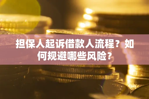 济南担保人起诉借款人流程？如何规避哪些风险？